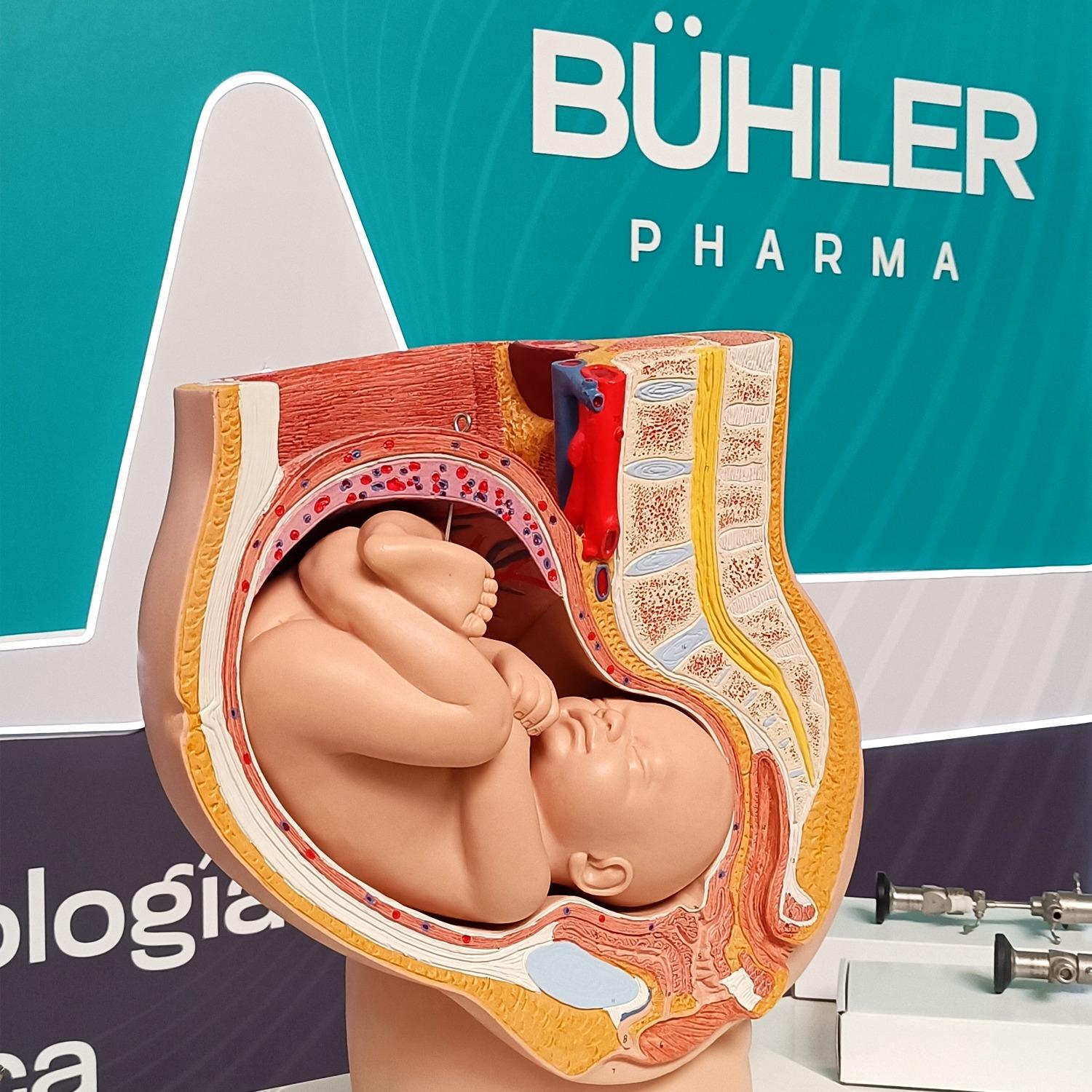 XXV Congreso Nacional de Ginecología y Obstetricia