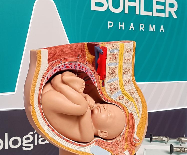 XXV Congreso Nacional de Ginecología y Obstetricia